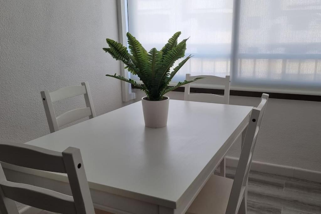 דאימוס Coqueto Apartamento En La Playa מראה חיצוני תמונה